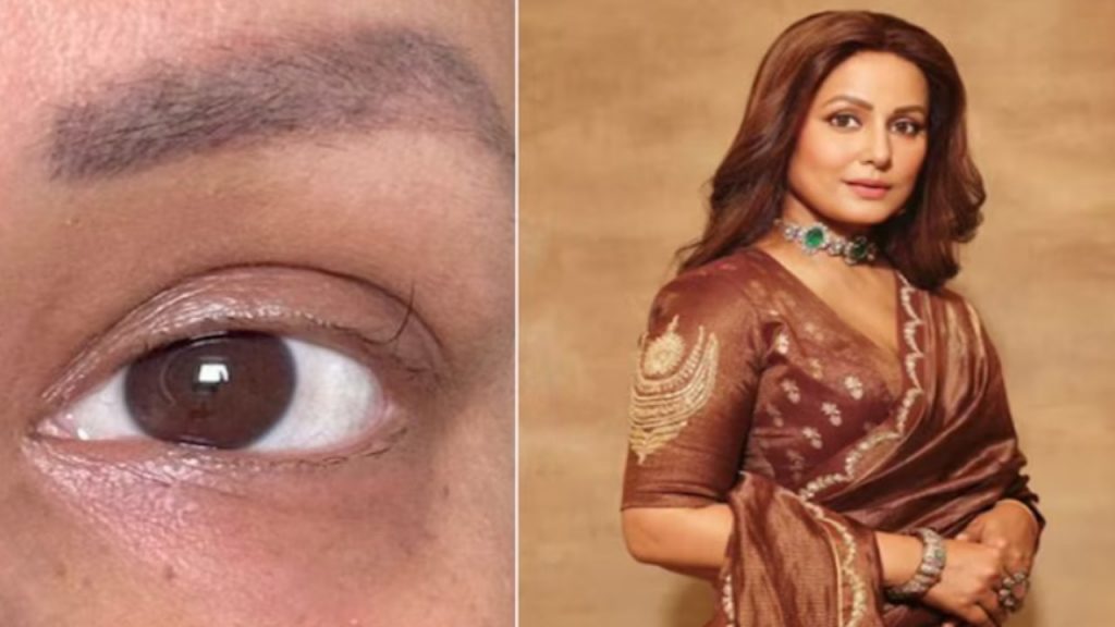 Hina Khan Eyelash
