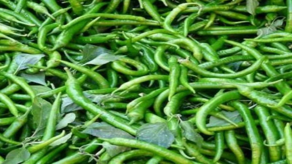 Green Chillies