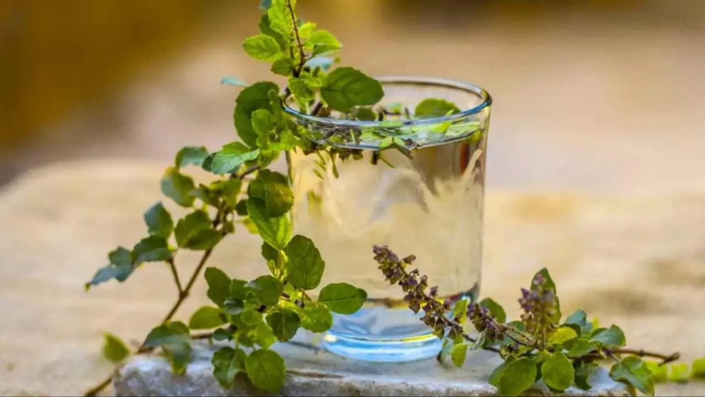 Basil Water
