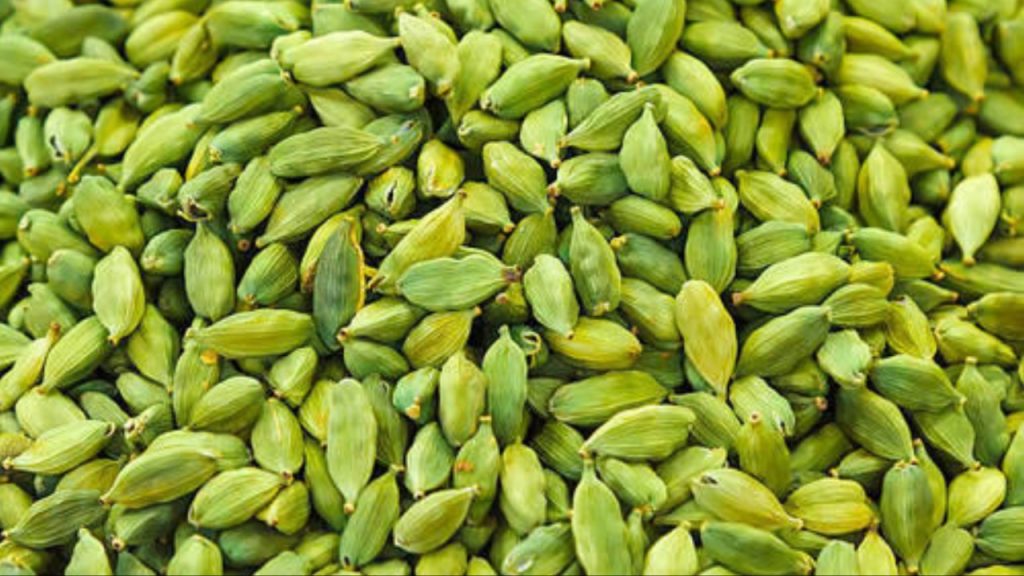 Cardamom