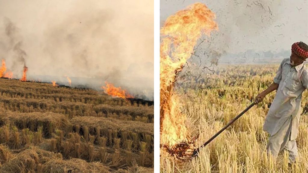 Delhi Stubble Burning Penalty For Farmers Rs 30000