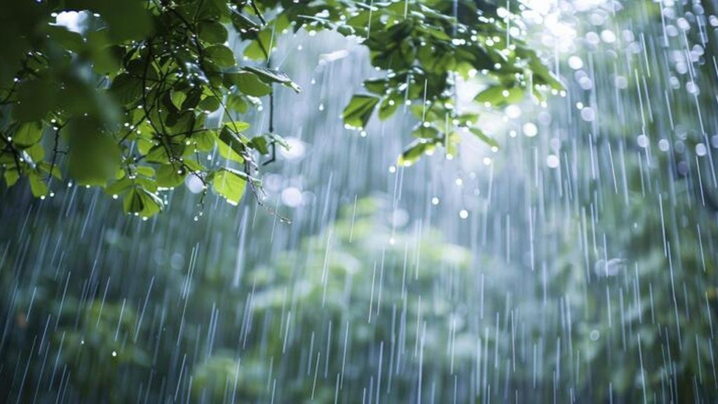 Heavy Rainfall