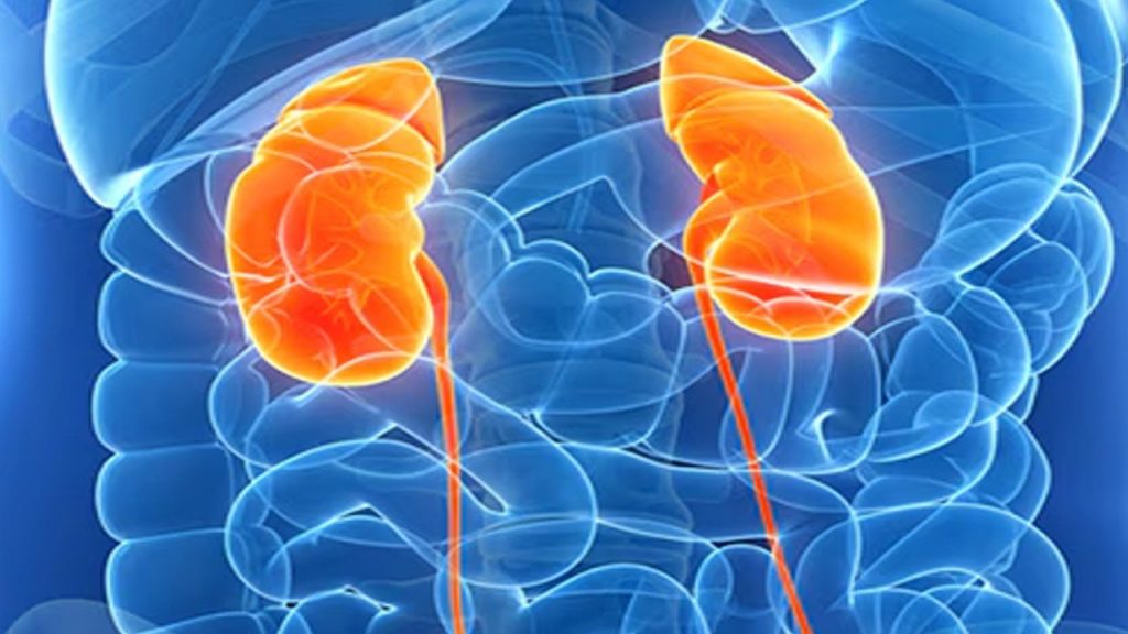 Kidney Health