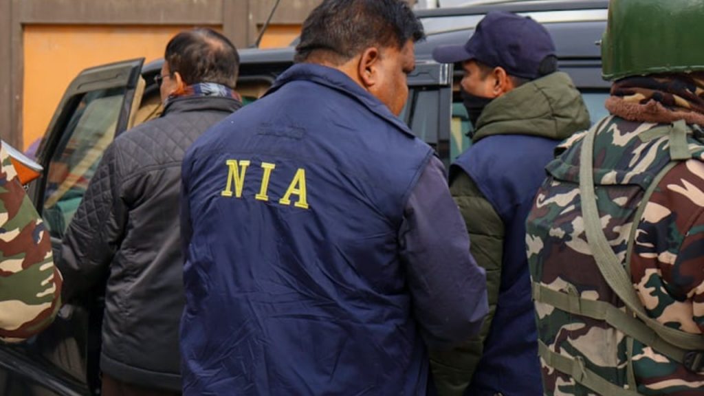 Nia Raids