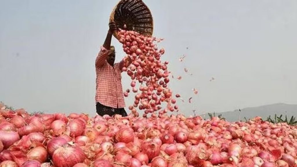Onion Prices Hyderabad Kurnool Andhra Pradesh Telangana