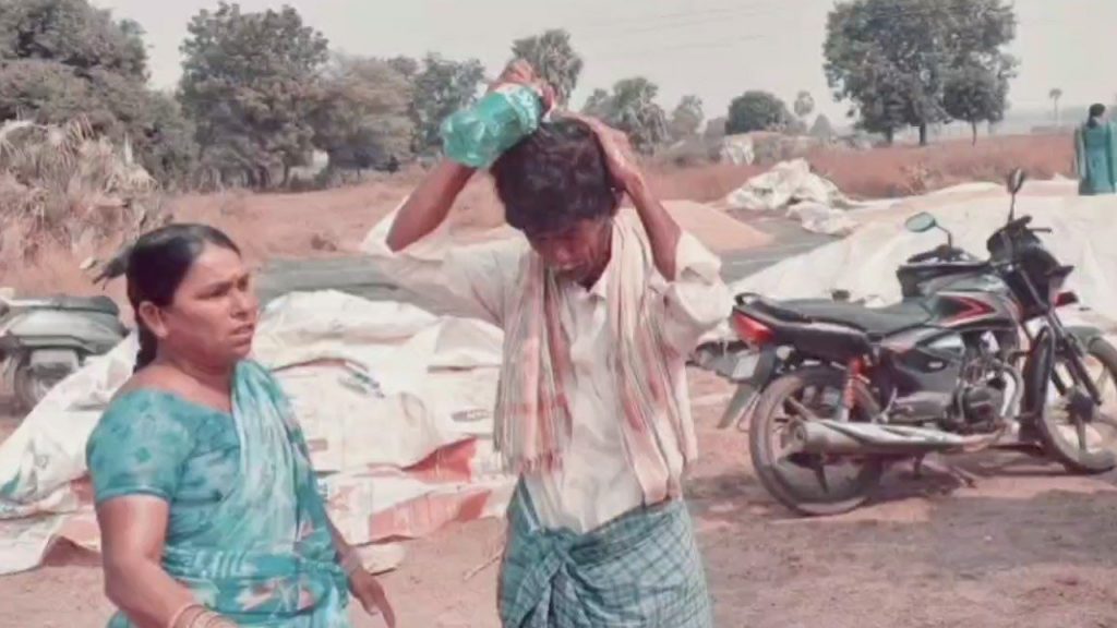 Paddy Procurement
