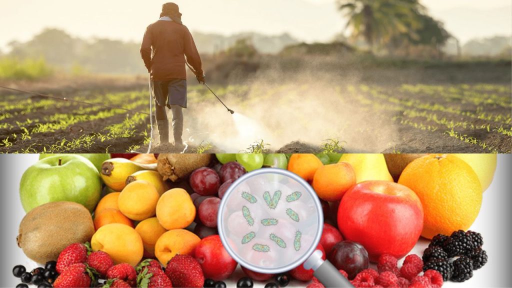 Pesticides In Food Healthy Food
