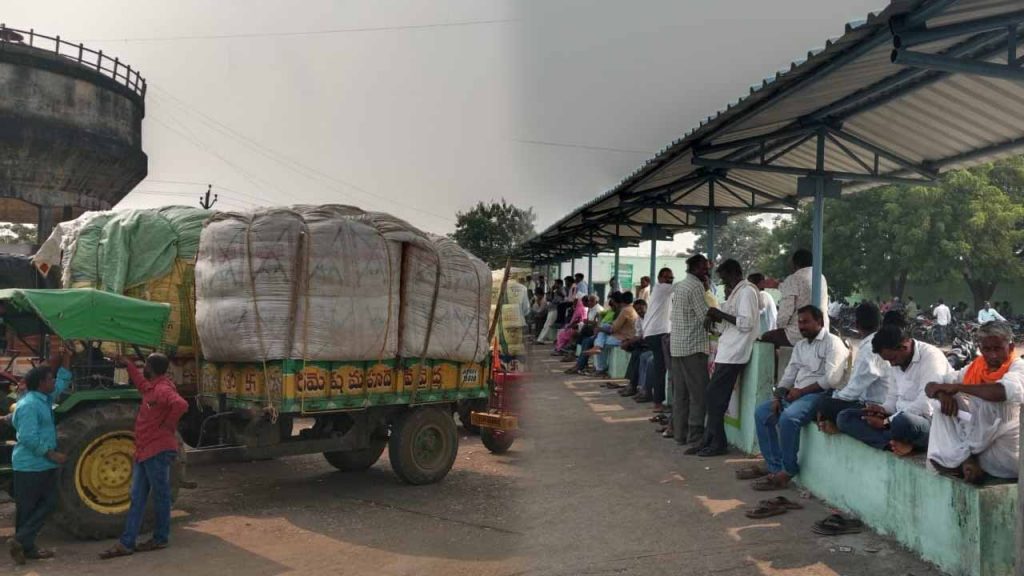 Cci On Cotton Procurement