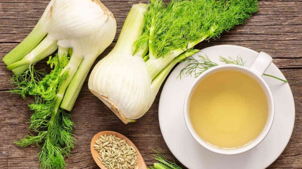Fennel Tea