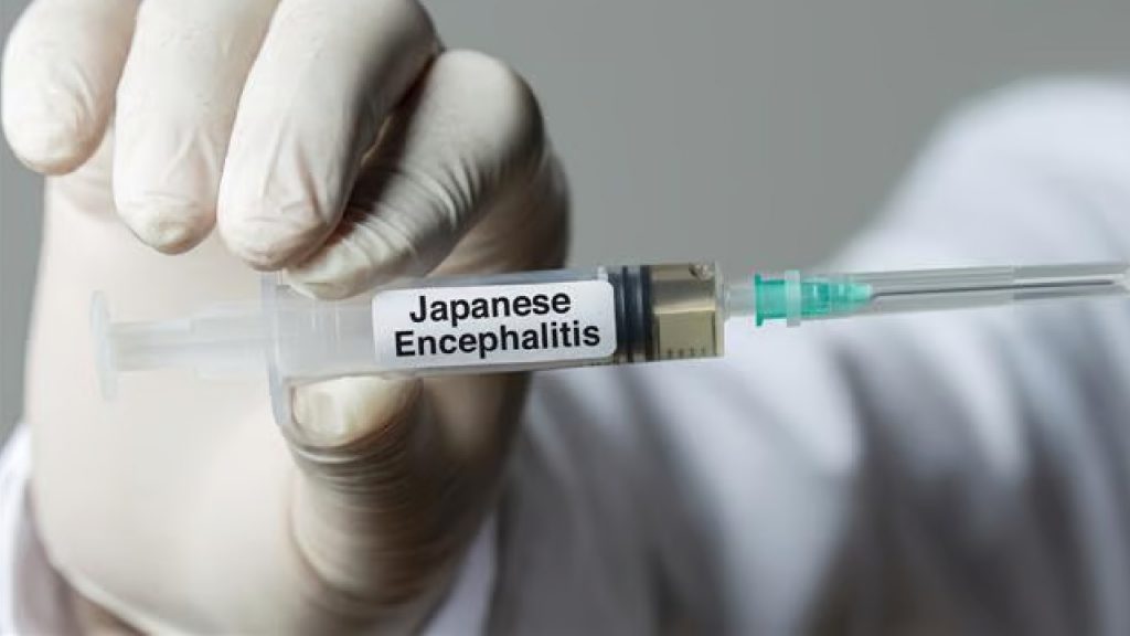 Japanese Encephalitis