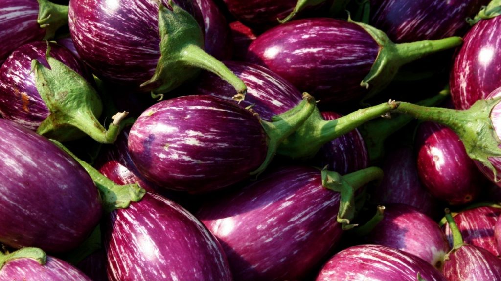 Brinjal