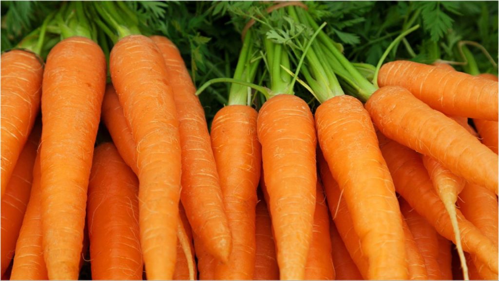 Carrot