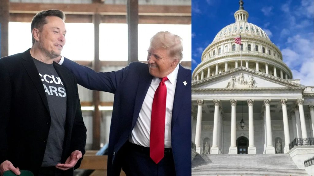 Elon Musk Us President Donald Trump