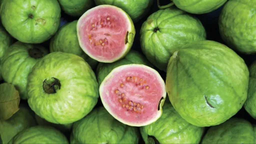 Guava Benefits