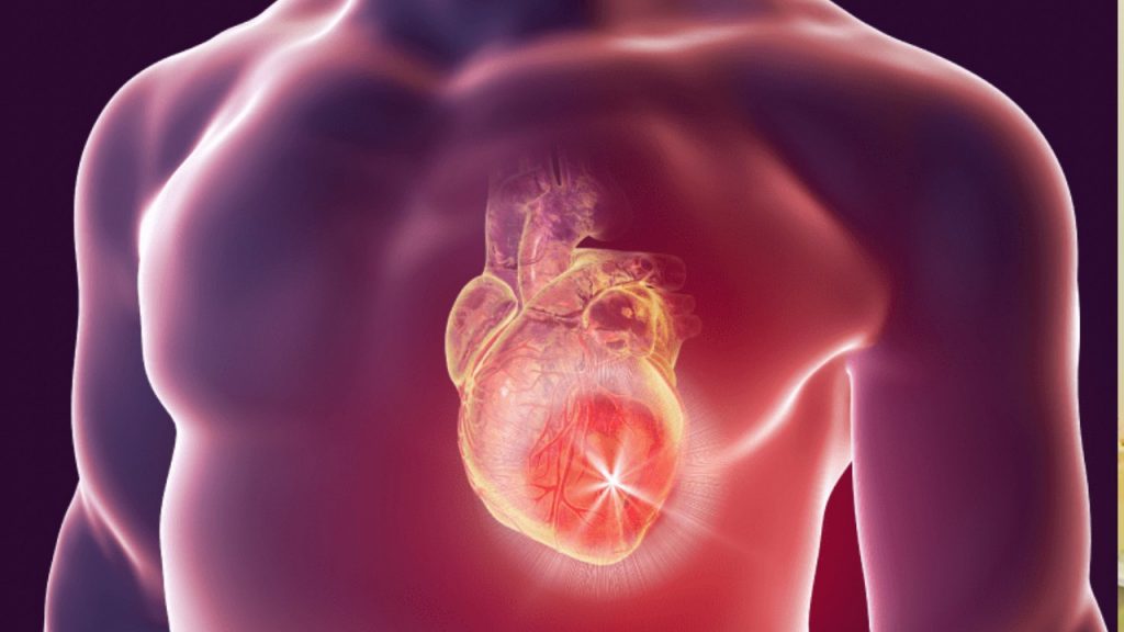 Heart
