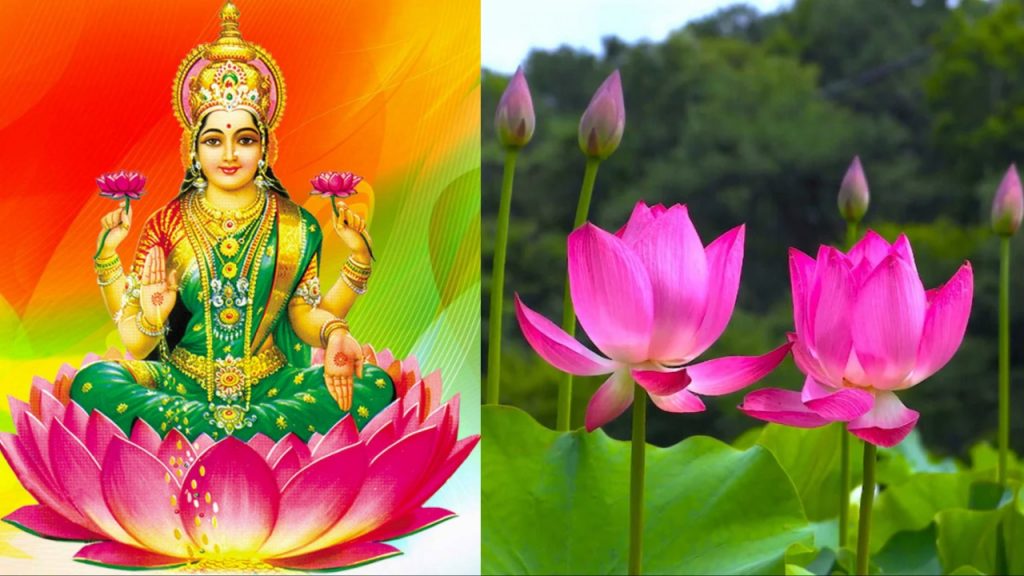 Lakshmi Devi
