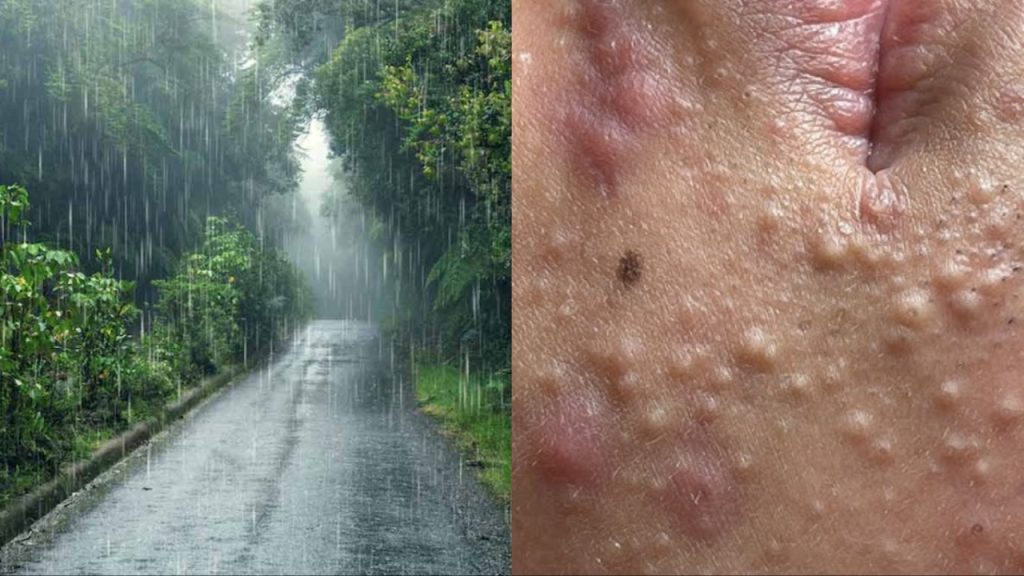 Monsoon Season