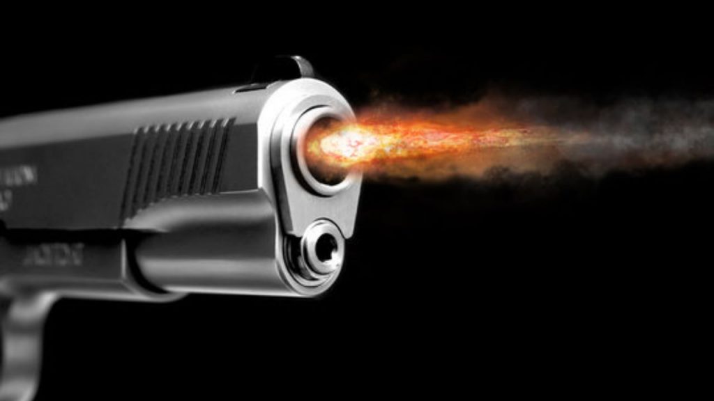 Pushpa Dialogue Horror Gun Fire Bilaspur Chhattisgarh Minor Boy Family Dispute