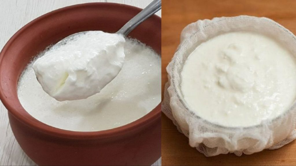 Sour Curd