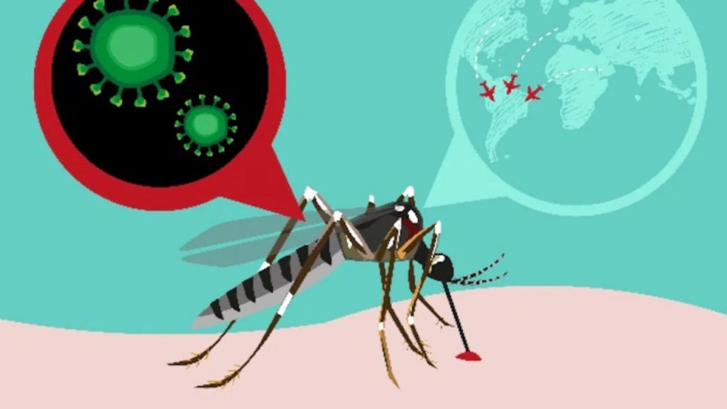 Zika Virus Case Nellore Andhra Pradesh