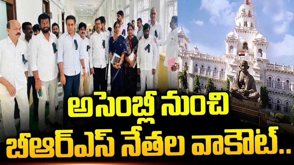 Brs Mlas Walkout