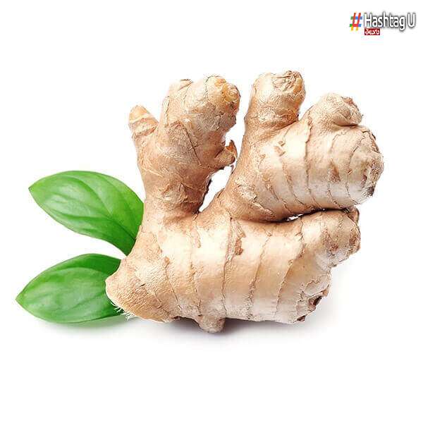Ginger- Allam 