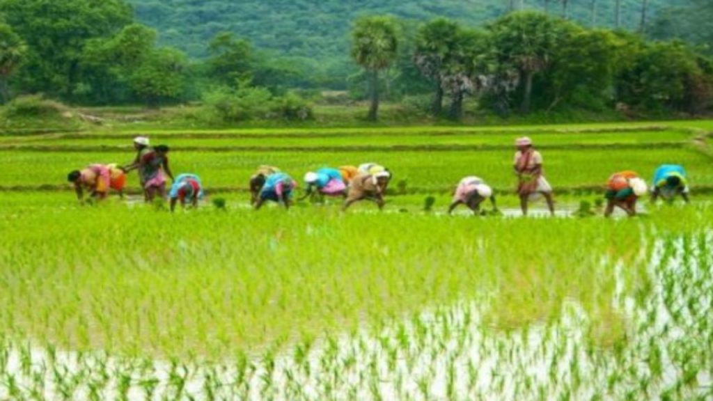 PM-KISAN 19th Installment