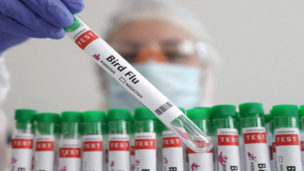 Bird Flu