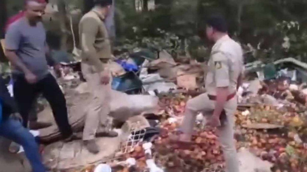Truck fell in the valley.. 10 farmers died
