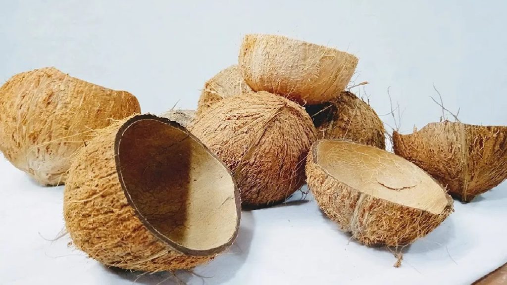 Coconut Shell