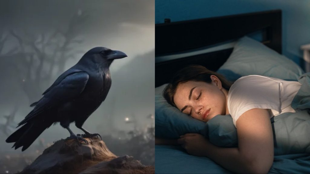 Dreams