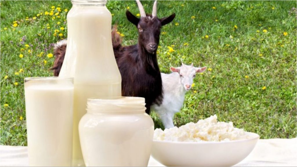 Goat Milk