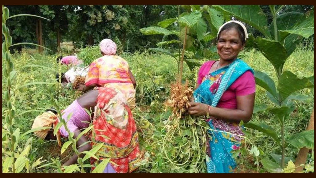 Good News For Tribal Farmer