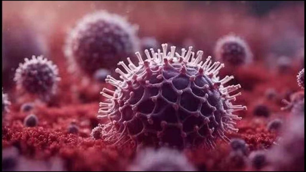 Hmpv Virus In Ap