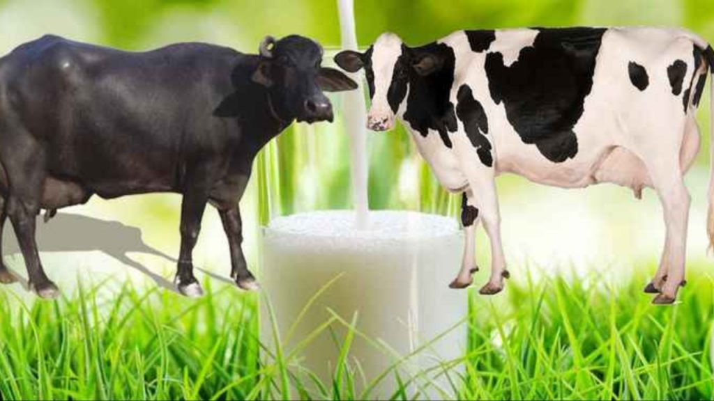 Milk Benefits