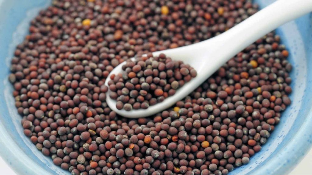 Mustard Seeds