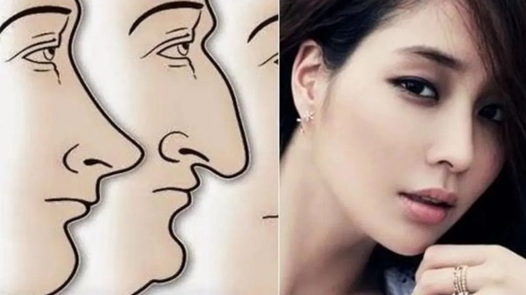 Nose Style