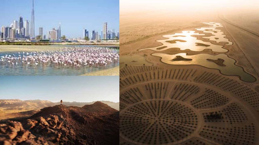 Outdoor adventures in Dubai