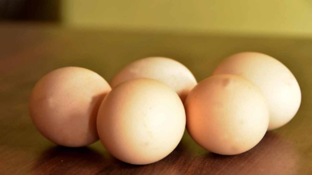 Cock Egg Cost