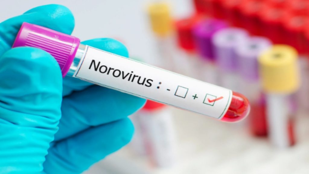 Norovirus