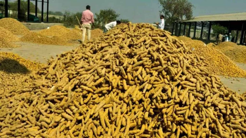 Turmeric Board In Nizamabad