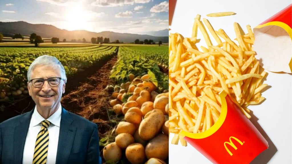Bill Gates United States Farmland Mcdonalds French Fries Potatoes