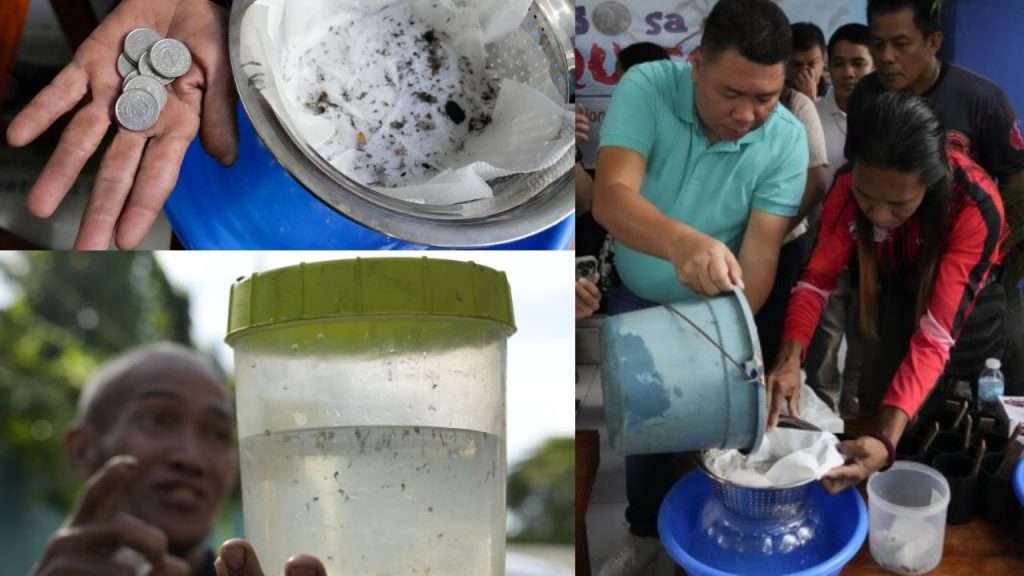 Bounty For Mosquitoes Philippines Carlito Cernal Dengue