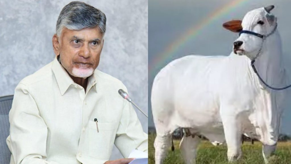 Cm Chandrababu