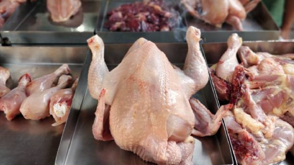 Chicken Sales