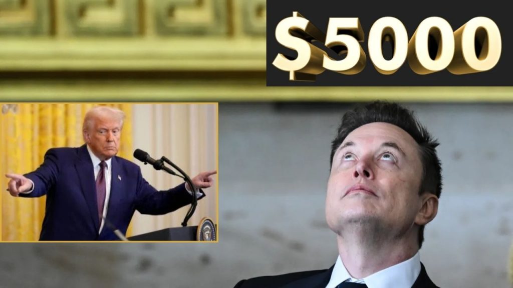 Elon Musk Americans 5000 Dollars Checks Doge Savings