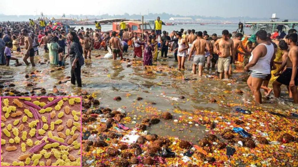 Maha Kumbh Faecal Bacteria Prayagraj Waters Min
