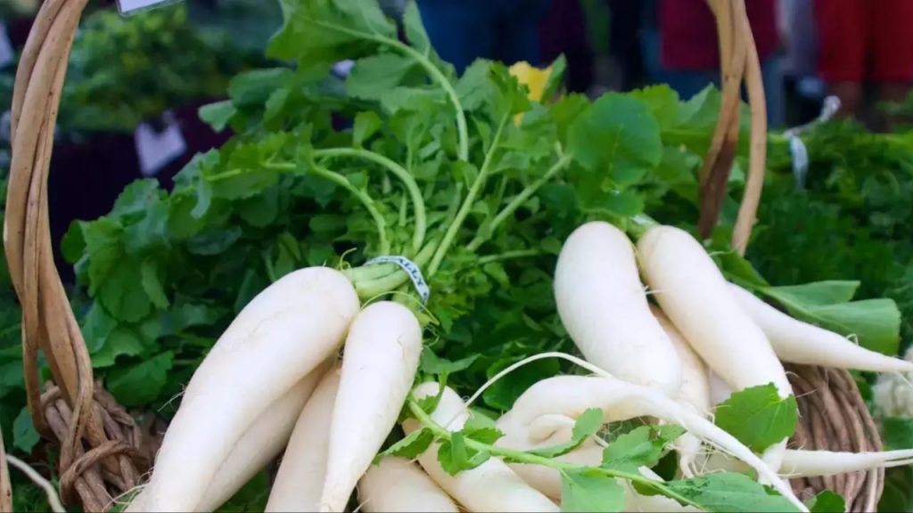 Radish Leaves