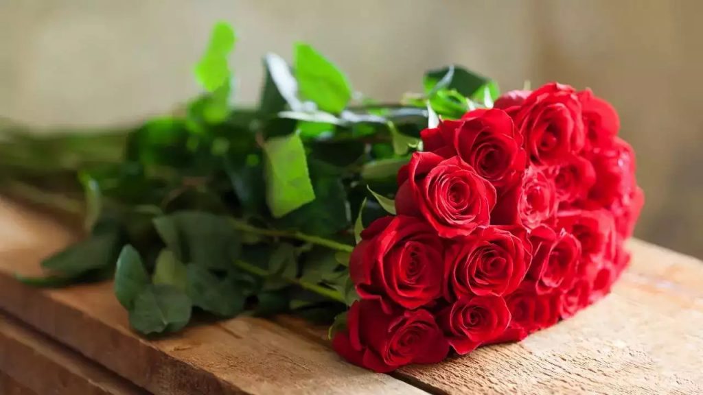Rose Day