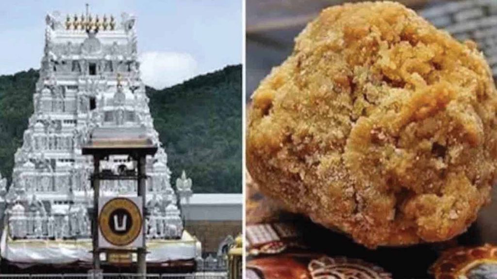 Tirumala laddu adulteration case.. Medical tests for the accused